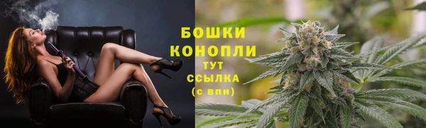 прущая мука Вяземский